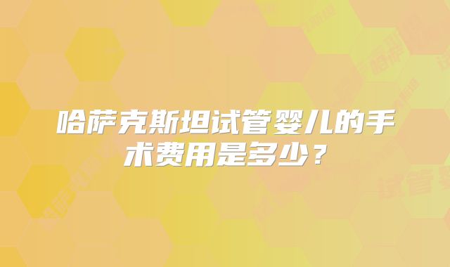 哈萨克斯坦试管婴儿的手术费用是多少？