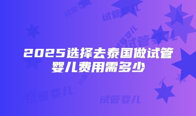 2025选择去泰国做试管婴儿费用需多少