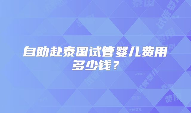 自助赴泰国试管婴儿费用多少钱？