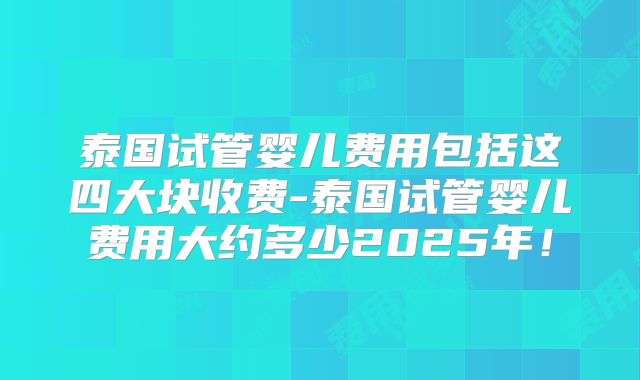 泰国试管婴儿费用包括这四大块收费-泰国试管婴儿费用大约多少2025年!