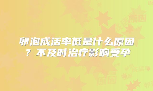 卵泡成活率低是什么原因?不及时治疗影响受孕