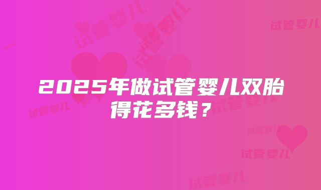2025年做试管婴儿双胎得花多钱？