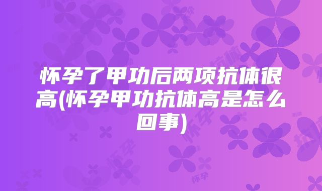 怀孕了甲功后两项抗体很高(怀孕甲功抗体高是怎么回事)