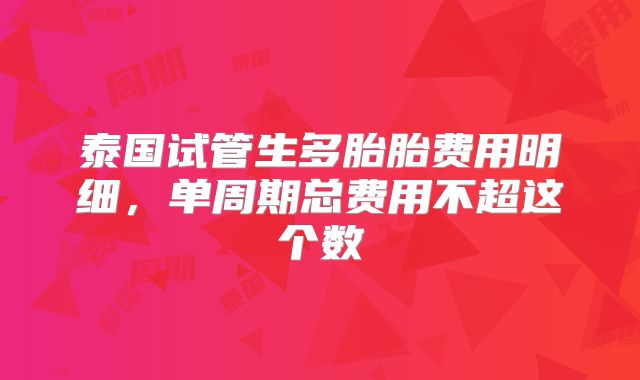 泰国试管生多胎胎费用明细，单周期总费用不超这个数