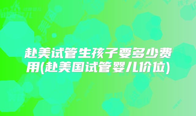 赴美试管生孩子要多少费用(赴美国试管婴儿价位)