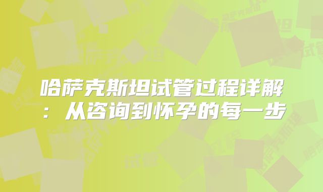 哈萨克斯坦试管过程详解：从咨询到怀孕的每一步