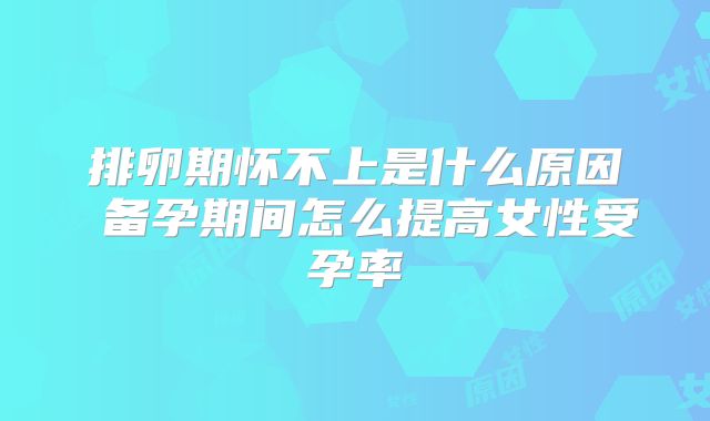 排卵期怀不上是什么原因 备孕期间怎么提高女性受孕率