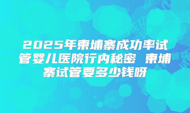 2025年柬埔寨成功率试管婴儿医院行内秘密 柬埔寨试管要多少钱呀