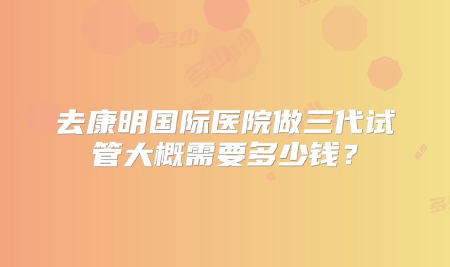 去康明国际医院做三代试管大概需要多少钱？