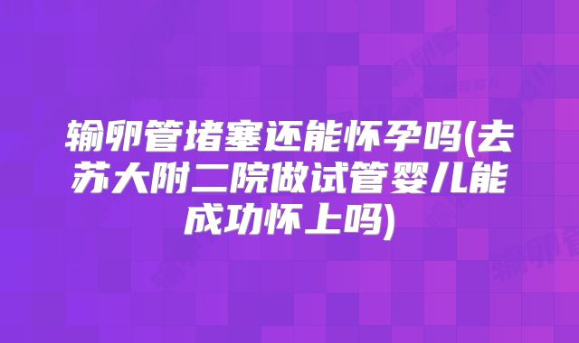 输卵管堵塞还能怀孕吗(去苏大附二院做试管婴儿能成功怀上吗)