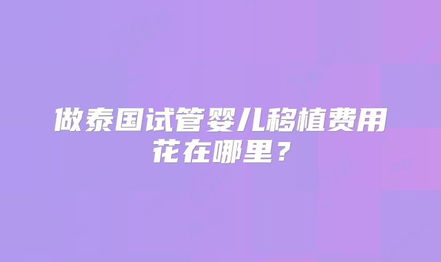 做泰国试管婴儿移植费用花在哪里？