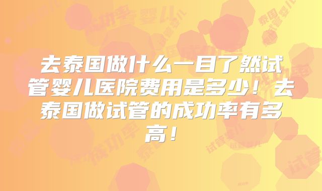 去泰国做什么一目了然试管婴儿医院费用是多少!去泰国做试管的成功率有多高!