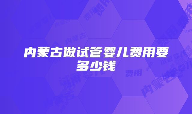 内蒙古做试管婴儿费用要多少钱