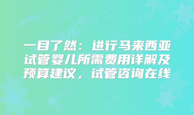 一目了然：进行马来西亚试管婴儿所需费用详解及预算建议，试管咨询在线