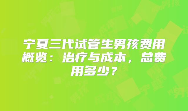 宁夏三代试管生男孩费用概览：治疗与成本，总费用多少？