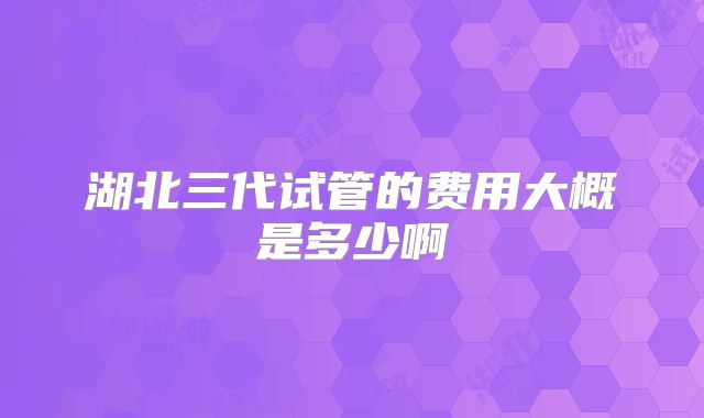 湖北三代试管的费用大概是多少啊