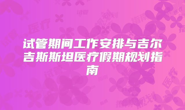 试管期间工作安排与吉尔吉斯斯坦医疗假期规划指南