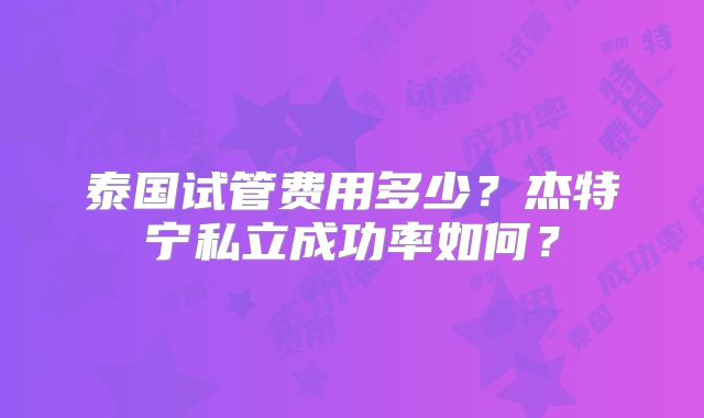 泰国试管费用多少？杰特宁私立成功率如何？