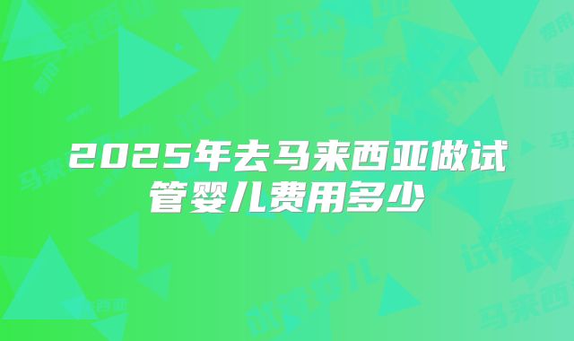 2025年去马来西亚做试管婴儿费用多少