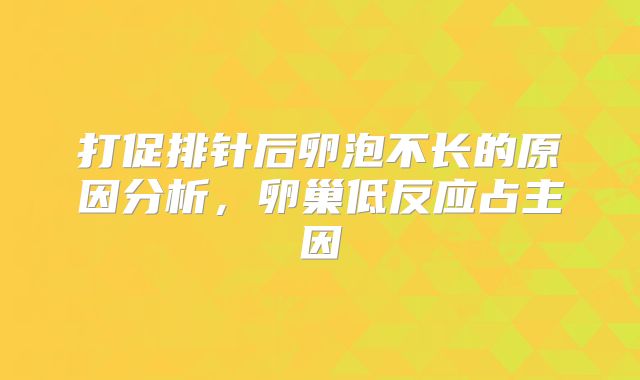 打促排针后卵泡不长的原因分析，卵巢低反应占主因