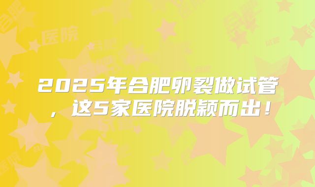 2025年合肥卵裂做试管，这5家医院脱颖而出！