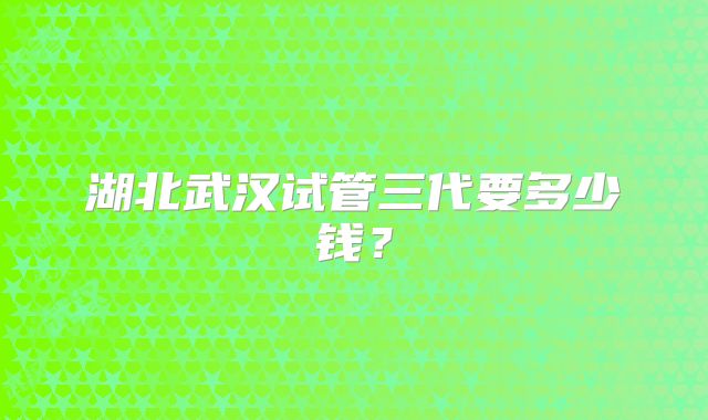 湖北武汉试管三代要多少钱？