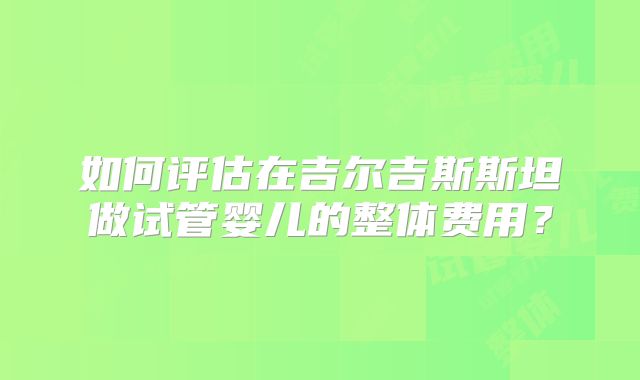 如何评估在吉尔吉斯斯坦做试管婴儿的整体费用？
