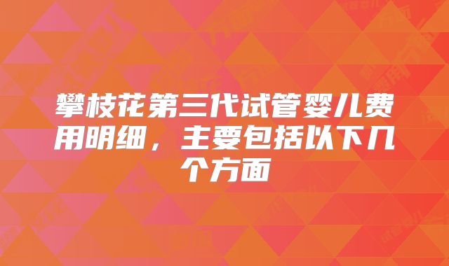 攀枝花第三代试管婴儿费用明细，主要包括以下几个方面