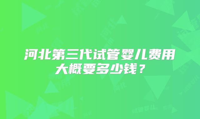 河北第三代试管婴儿费用大概要多少钱？