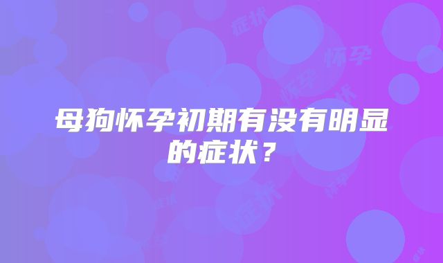 母狗怀孕初期有没有明显的症状?
