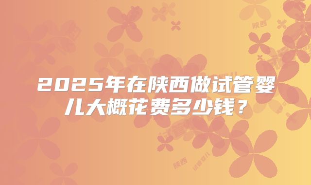2025年在陕西做试管婴儿大概花费多少钱？