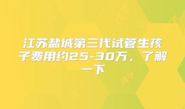 江苏盐城第三代试管生孩子费用约25-30万，了解一下