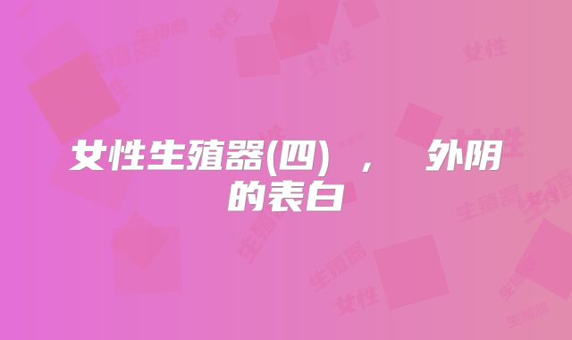 女性生殖器(四) , 外阴的表白