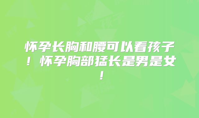怀孕长胸和腰可以看孩子!怀孕胸部猛长是男是女!