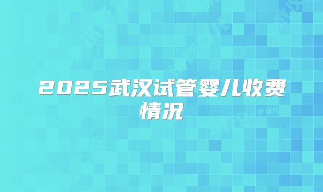 2025武汉试管婴儿收费情况
