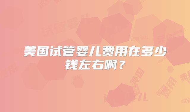 美国试管婴儿费用在多少钱左右啊？