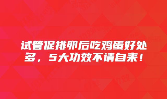 试管促排卵后吃鸡蛋好处多，5大功效不请自来！