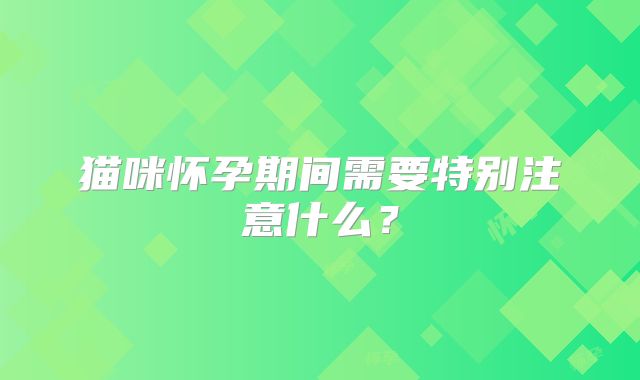 猫咪怀孕期间需要特别注意什么？