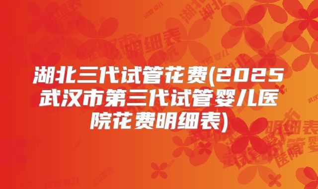 湖北三代试管花费(2025武汉市第三代试管婴儿医院花费明细表)