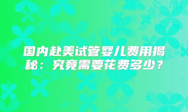 国内赴美试管婴儿费用揭秘：究竟需要花费多少？