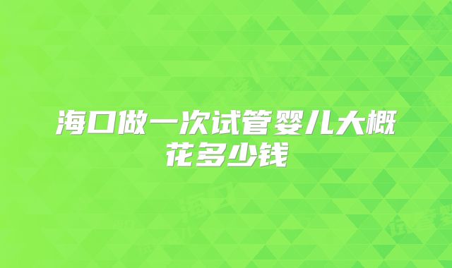 海口做一次试管婴儿大概花多少钱