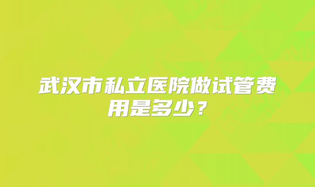 武汉市私立医院做试管费用是多少？