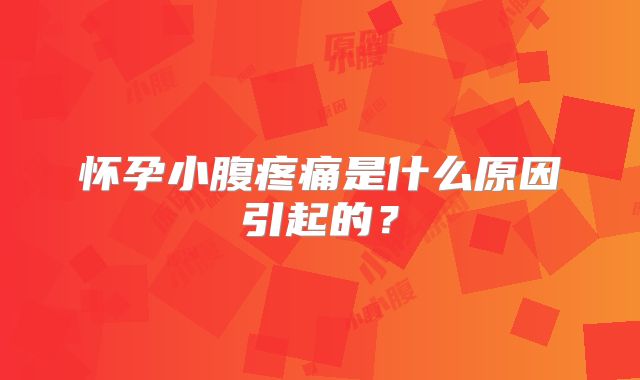 怀孕小腹疼痛是什么原因引起的？