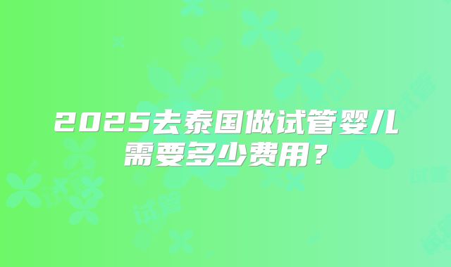 2025去泰国做试管婴儿需要多少费用？