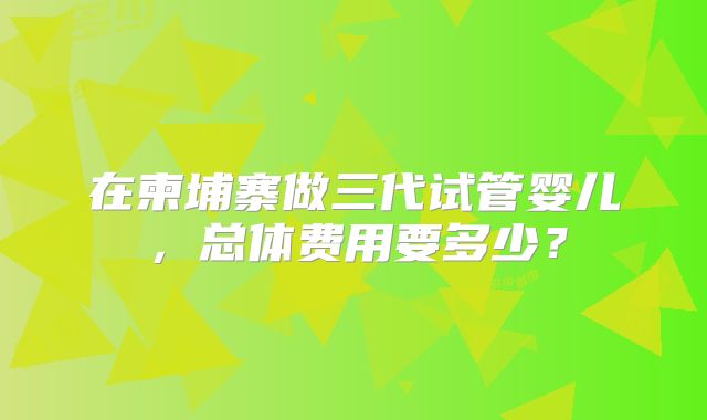 在柬埔寨做三代试管婴儿，总体费用要多少？