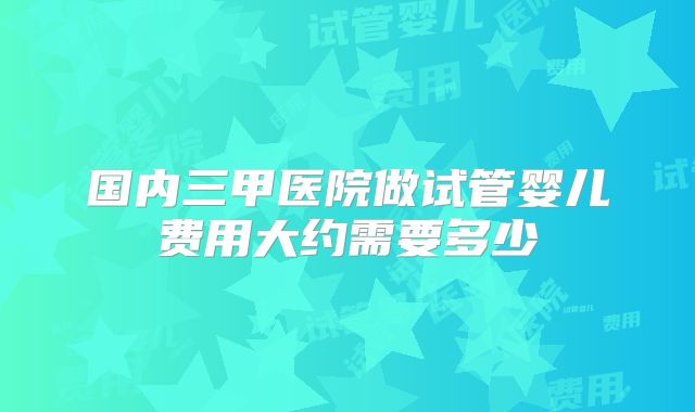 国内三甲医院做试管婴儿费用大约需要多少