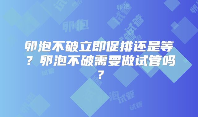 卵泡不破立即促排还是等?卵泡不破需要做试管吗?