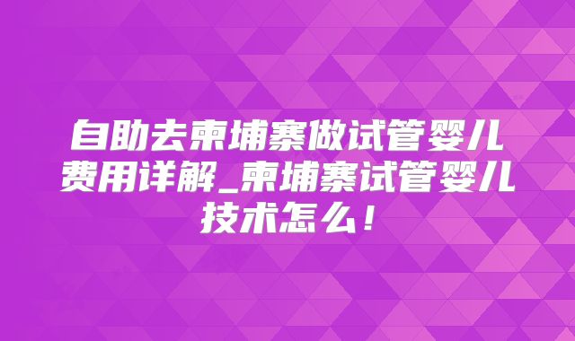 自助去柬埔寨做试管婴儿费用详解_柬埔寨试管婴儿技术怎么！