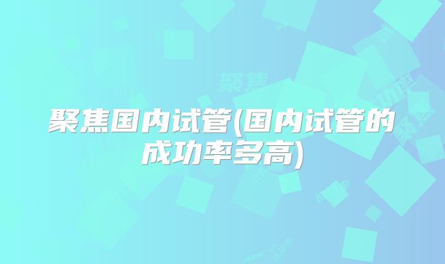 聚焦国内试管(国内试管的成功率多高)