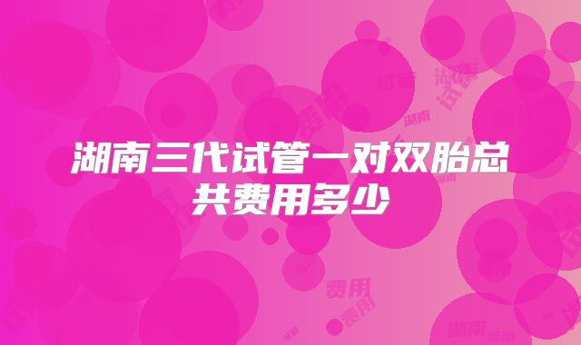 湖南三代试管一对双胎总共费用多少